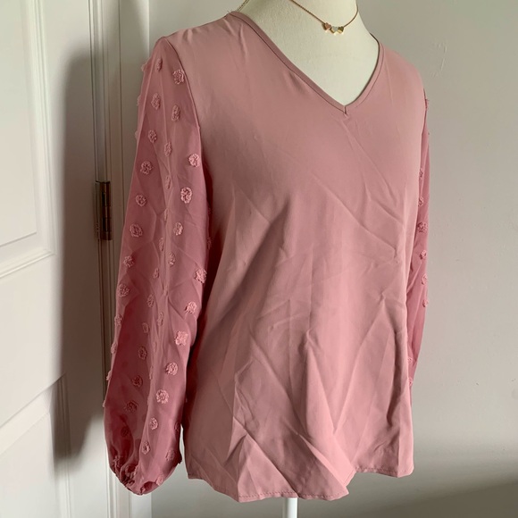 *Host Pick!🎉 Light Pink Swiss Dot Lantern Sleeve V-Neck Blouse - Picture 6 of 11